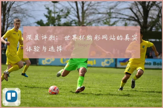 深度评测：世界杯购彩网站的真实体验与选择