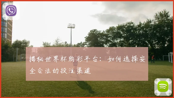 揭秘世界杯购彩平台:如何选择安全合法的投注渠道