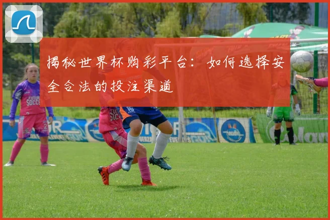 揭秘世界杯购彩平台:如何选择安全合法的投注渠道