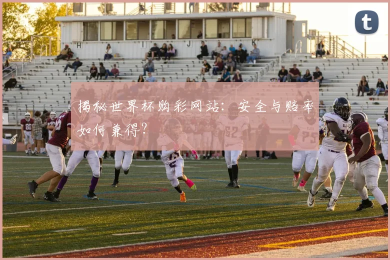 揭秘世界杯购彩网站:安全与赔率如何兼得?