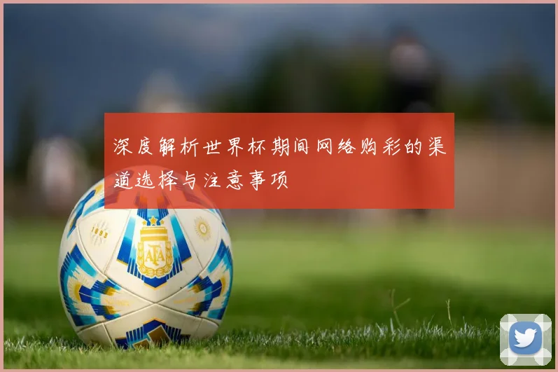 深度解析世界杯期间网络购彩的渠道选择与注意事项