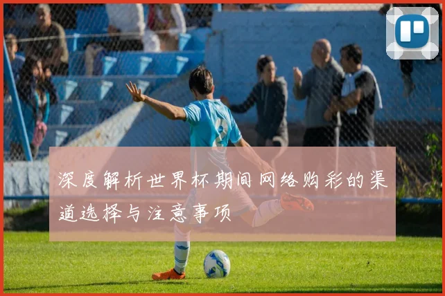 深度解析世界杯期间网络购彩的渠道选择与注意事项